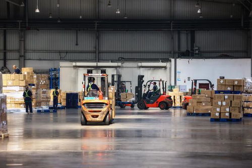 航空港實驗區 營造生態創新賦能，跨境進出口業務突破1億單