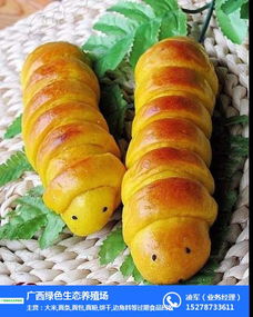 綠色生態(tài)養(yǎng)殖與過期面條回收 橫瀝鎮(zhèn)食品經(jīng)營(yíng)的循環(huán)經(jīng)濟(jì)新探索